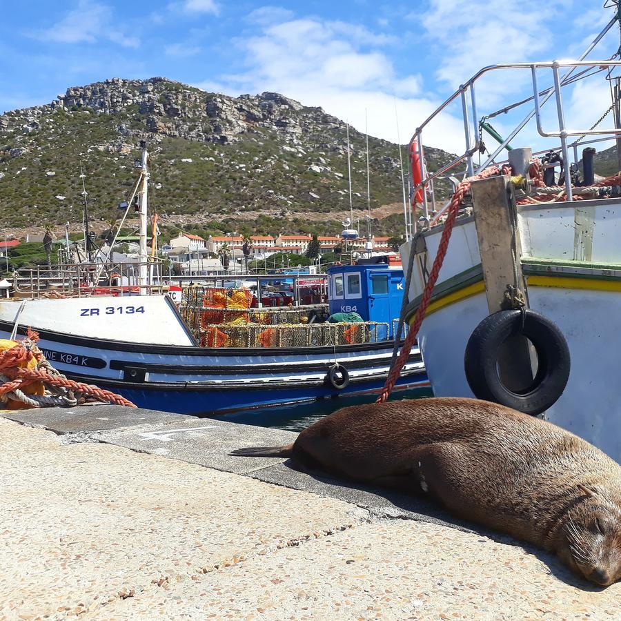 Rosmead Apartment Kalk Bay Εξωτερικό φωτογραφία